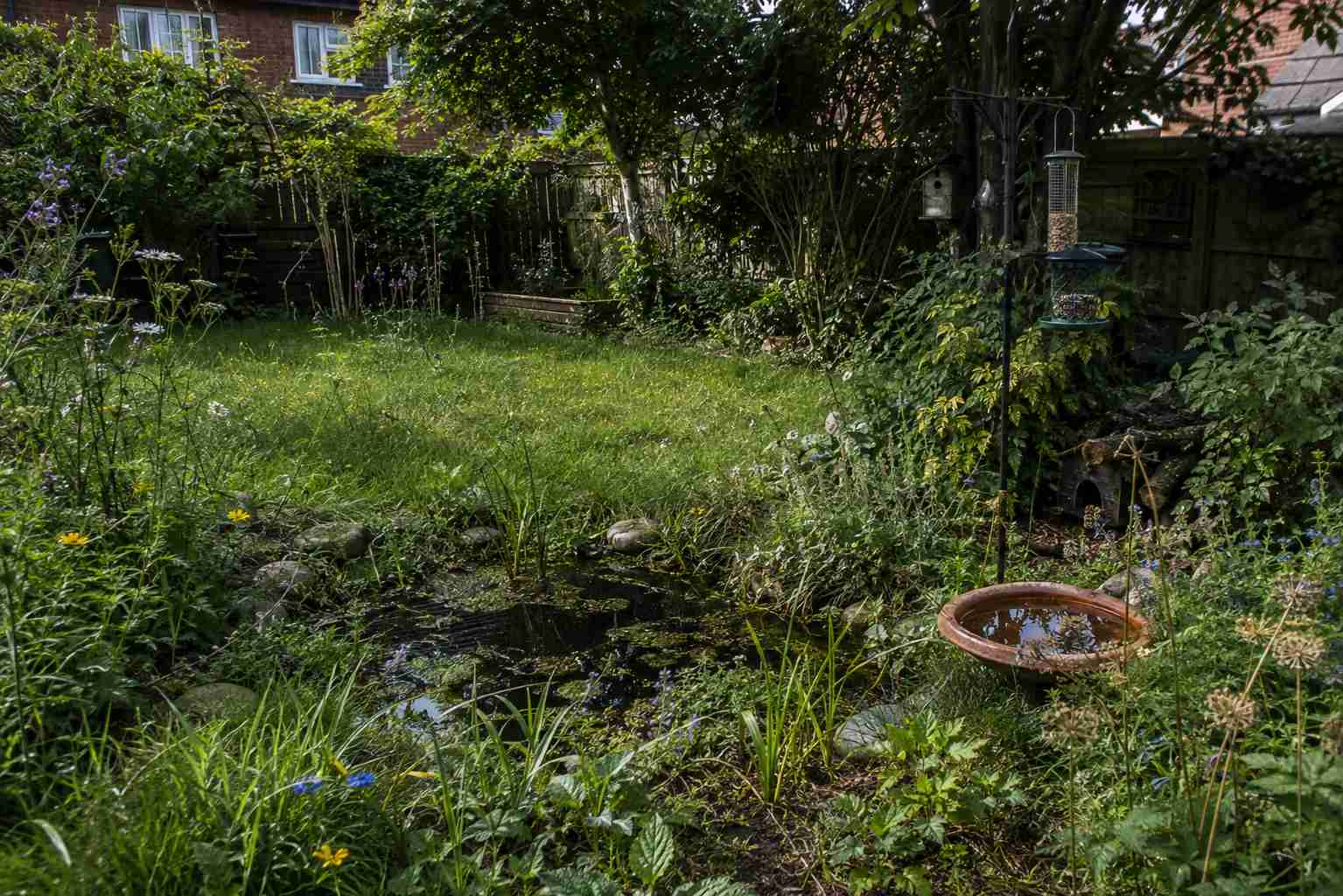 A beautifully landscaped garden with lawn, patio and planted borders in Surrey