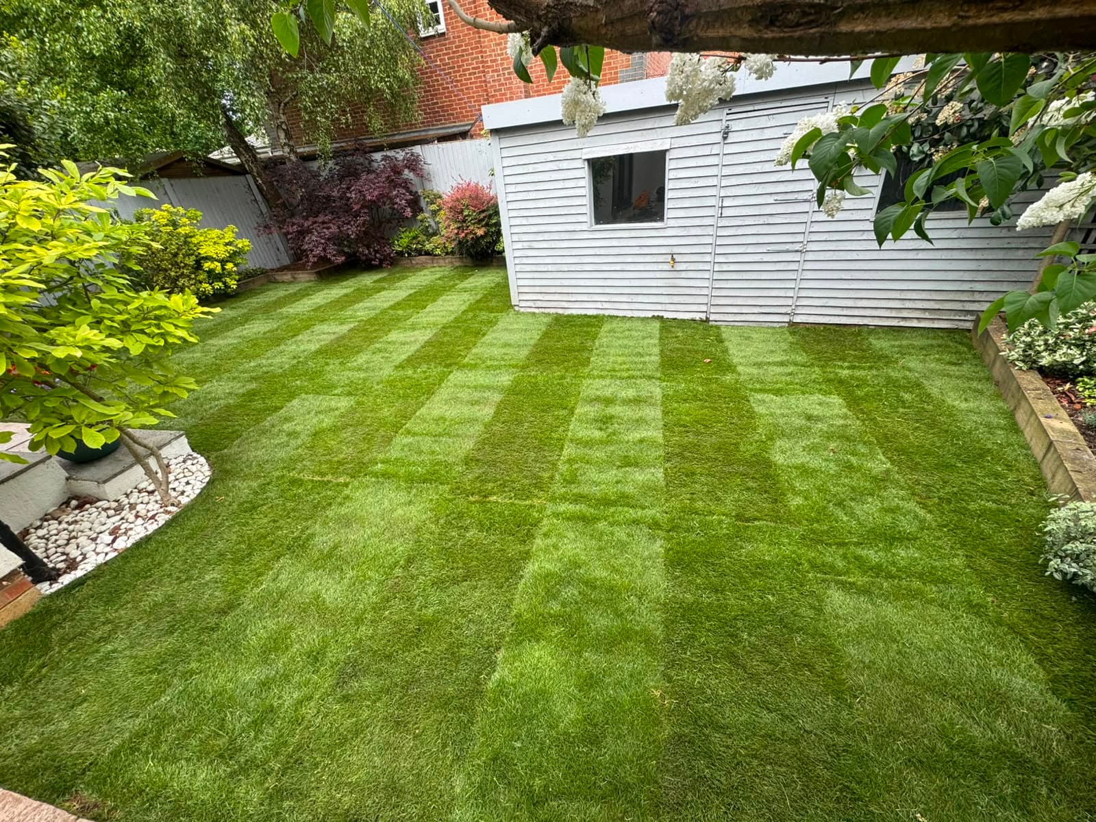 The completed new lawn after laying